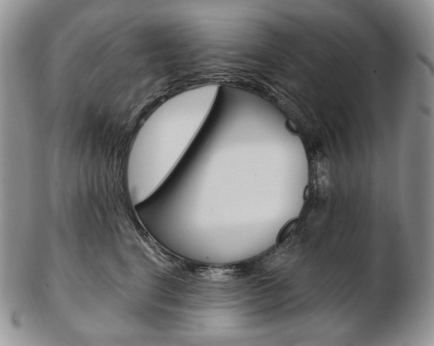 X0000103130664200808221043