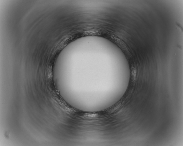 X0000103130665200808221043