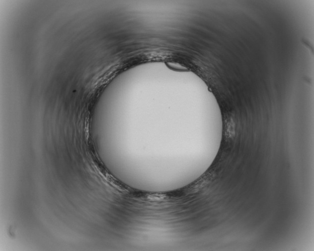 X0000103130666200808221043