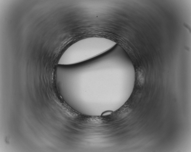 X0000103130668200808221043