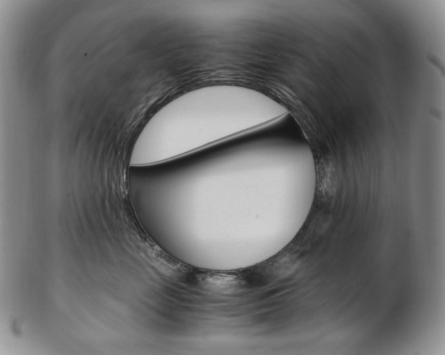X0000103130669200808221043