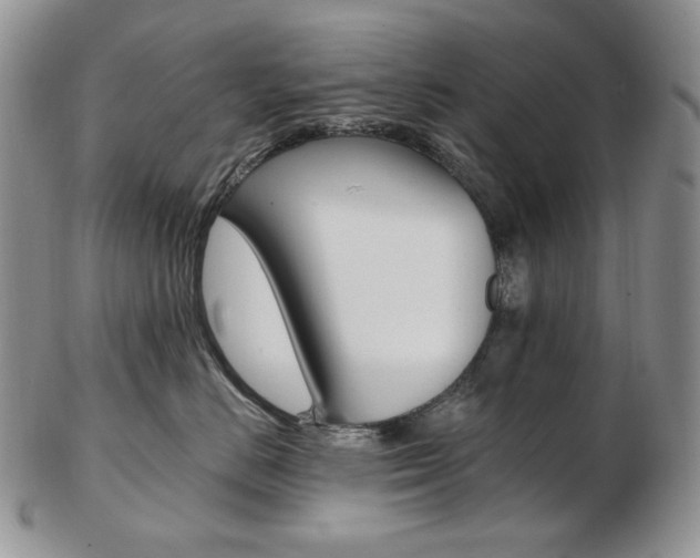 X0000103130670200808221043