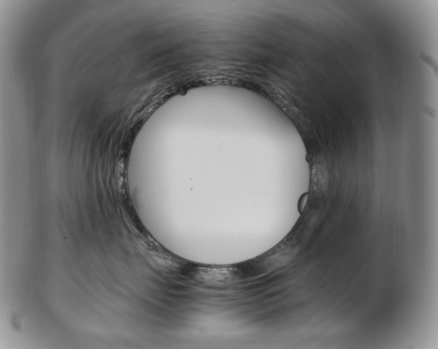 X0000103130671200808221043