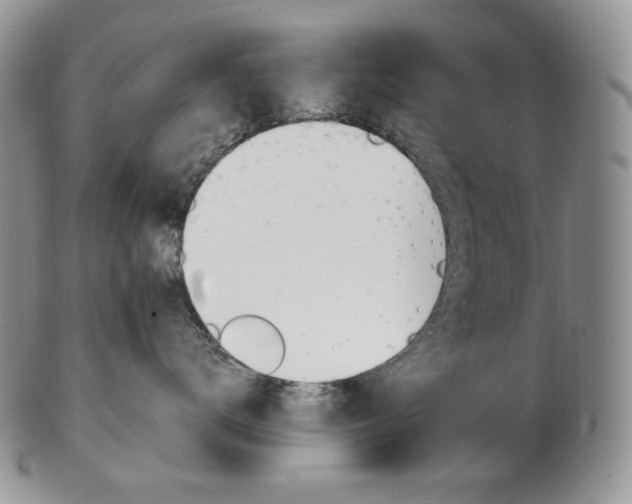 X0000103130672200808221043