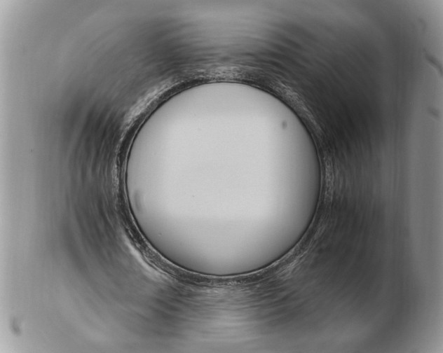 X0000103130674200808221042