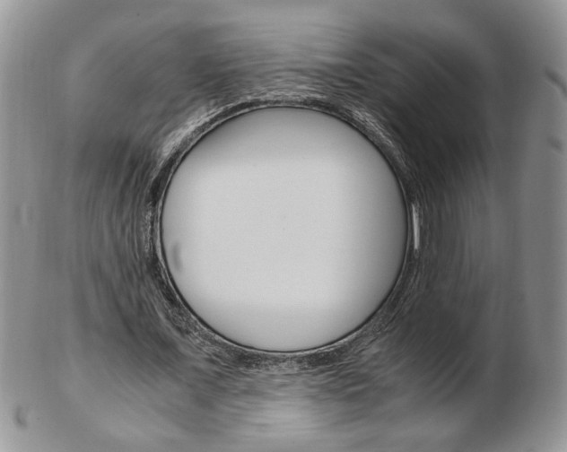 X0000103130675200808221042