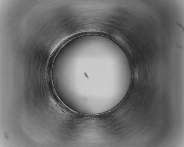 X0000103130676200808221042