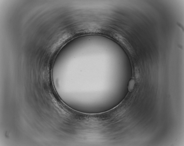 X0000103130677200808221042