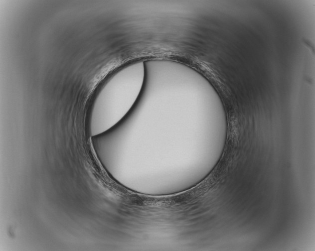X0000103130679200808221042