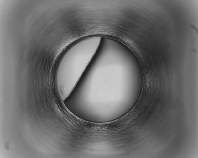 X0000103130680200808221042