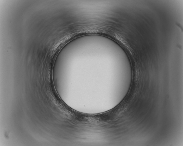 X0000103130681200808221042