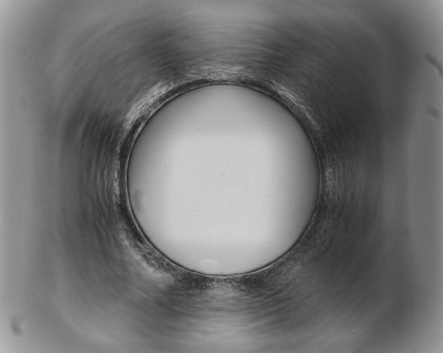 X0000103130682200808221042