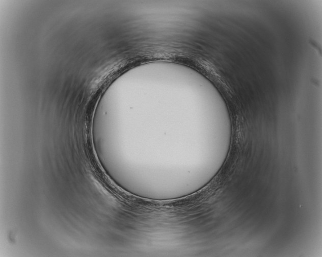 X0000103130683200808221042