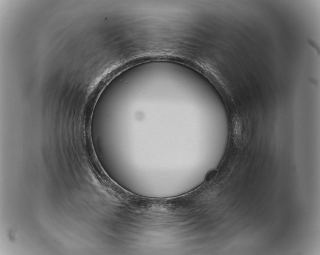 X0000103130684200808221042