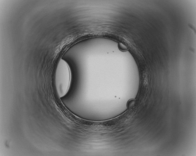 X0000103130685200808221042