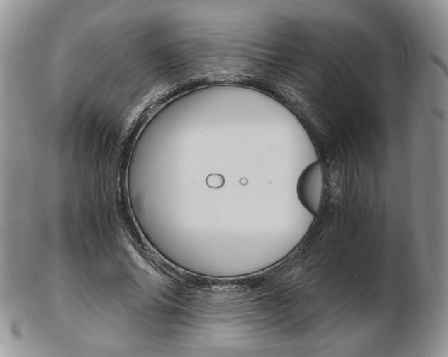 X0000103130686200808221042