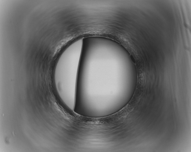 X0000103130688200808221042
