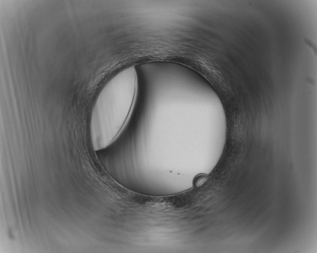 X0000103130689200808221042