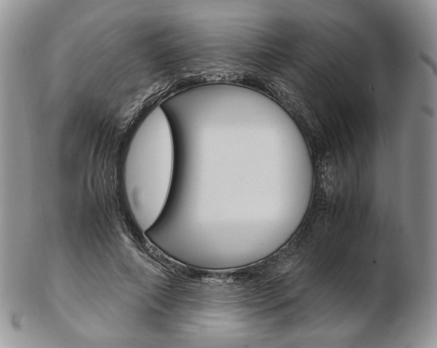 X0000103130690200808221042