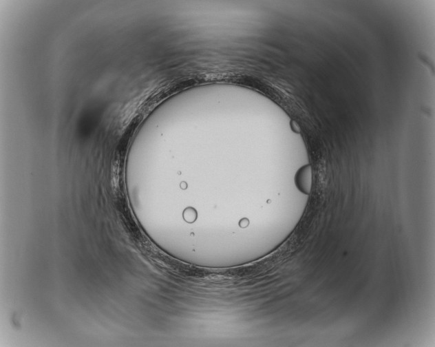 X0000103130691200808221042