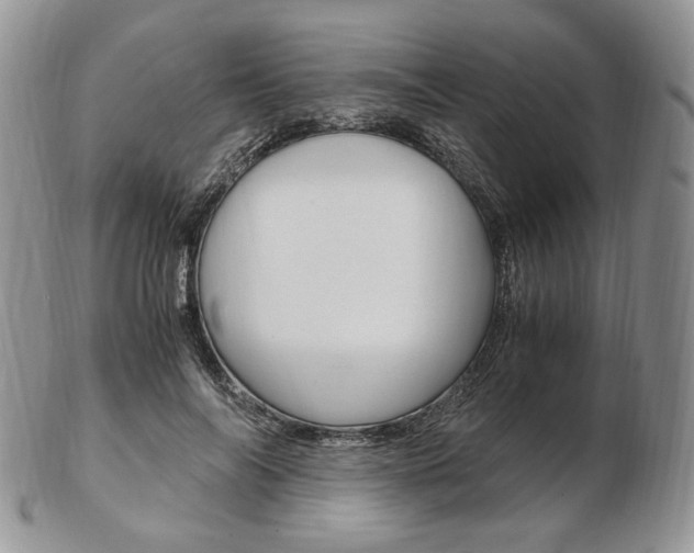 X0000103130694200808221042