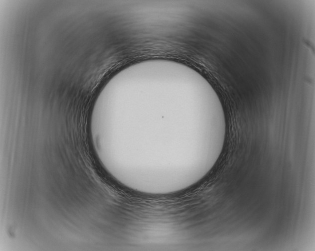 X0000103130695200808221042