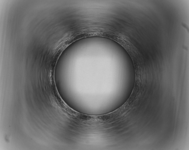 X0000103130696200808221042
