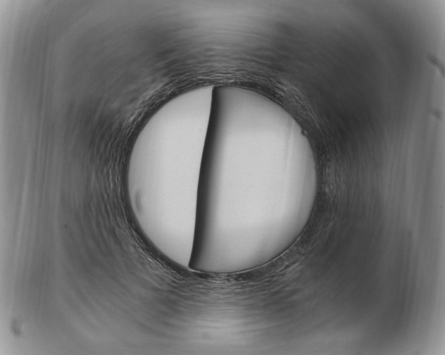 X0000103130697200808221042