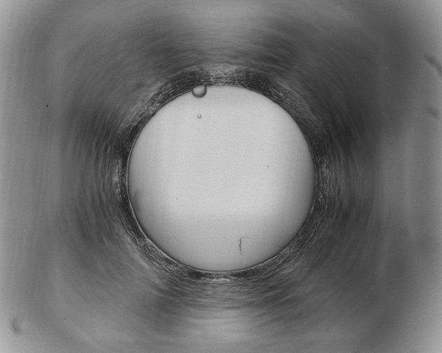 X0000103130698200808221042