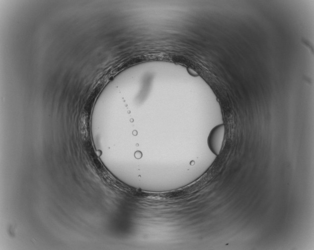 X0000103130699200808221042
