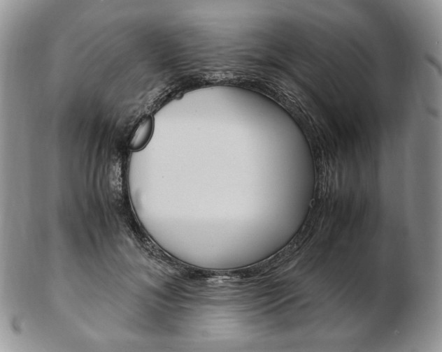 X0000103130700200808221042
