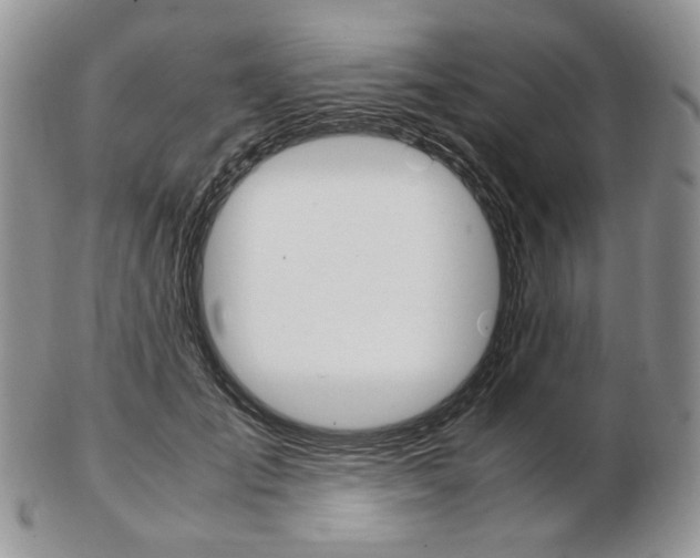 X0000103130701200808221042