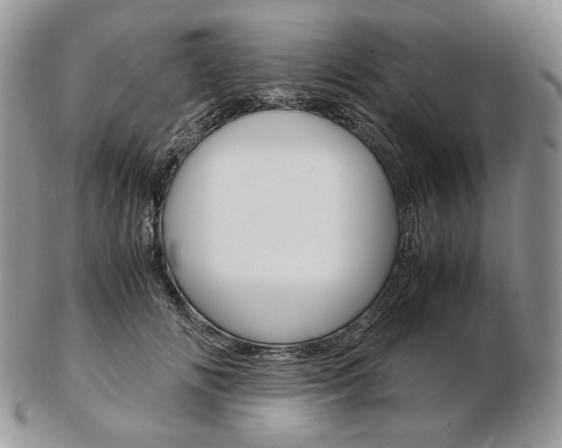 X0000103130702200808221042