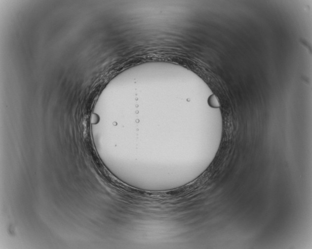 X0000103130703200808221042