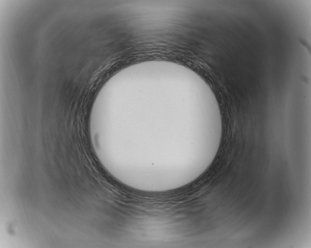 X0000103130705200808221042