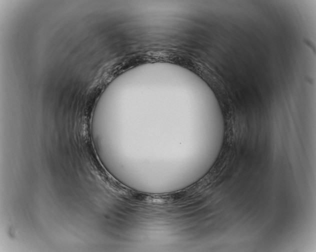 X0000103130706200808221042