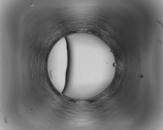 X0000103130707200808221042
