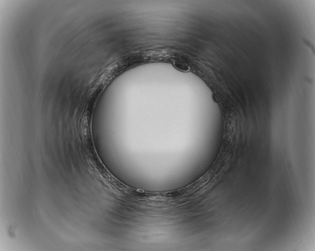 X0000103130708200808221042