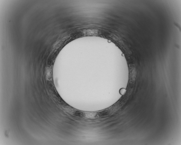X0000103130709200808221042