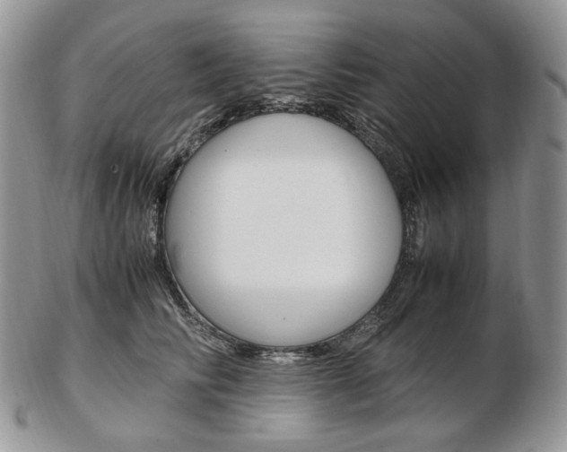 X0000103130710200808221042