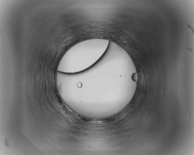 X0000103130711200808221042
