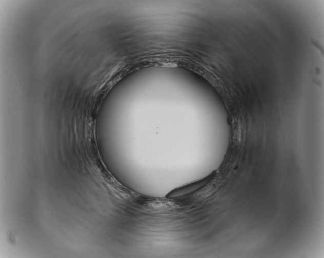 X0000103130712200808221042