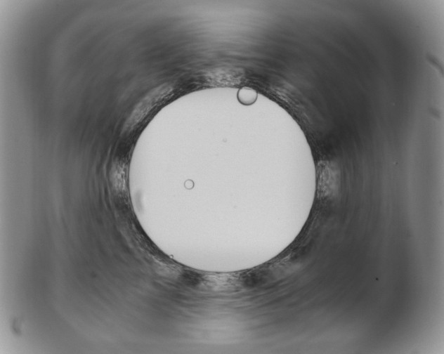 X0000103130713200808221041