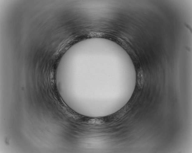 X0000103130714200808221041