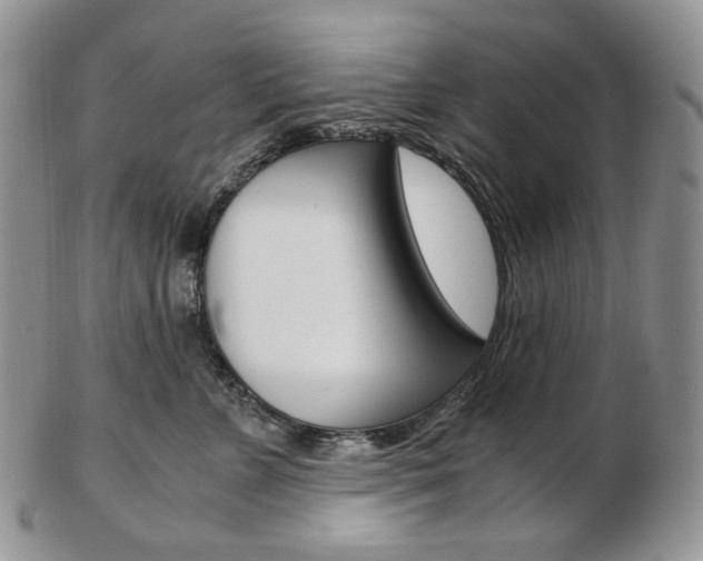 X0000103130715200808221041