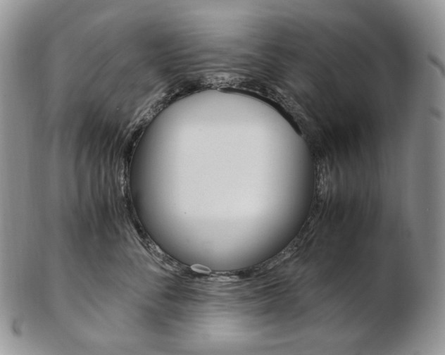 X0000103130716200808221041