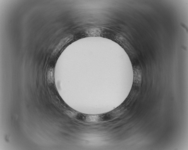 X0000103130717200808221041