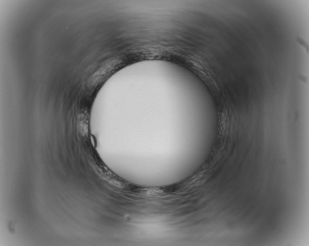 X0000103130719200808221041