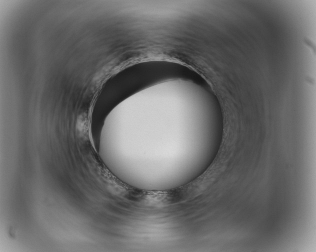 X0000103130720200808221041