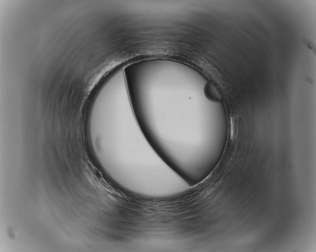 X0000103130723200808221040